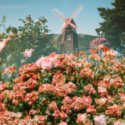 一分快3官方网址截图