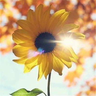 亿博app官网首页