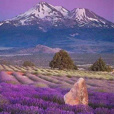 芒果体育下载手机版